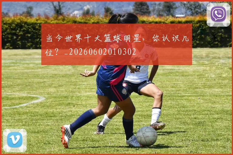 当今世界十大篮球明星，你认识几位？_20260602010302