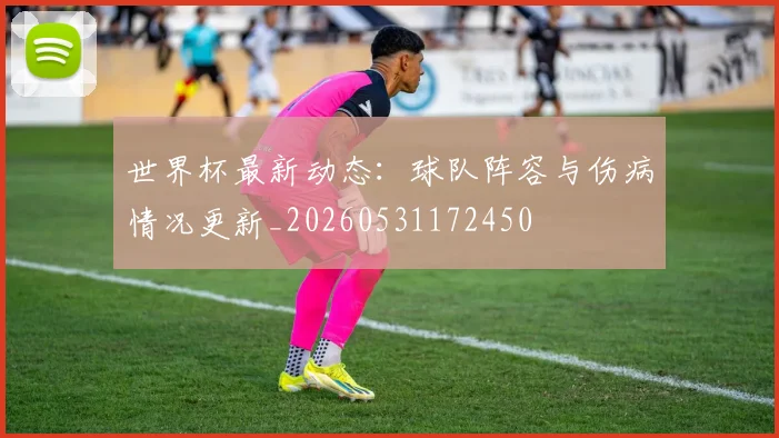 世界杯最新动态:球队阵容与伤病情况更新_20260531172450